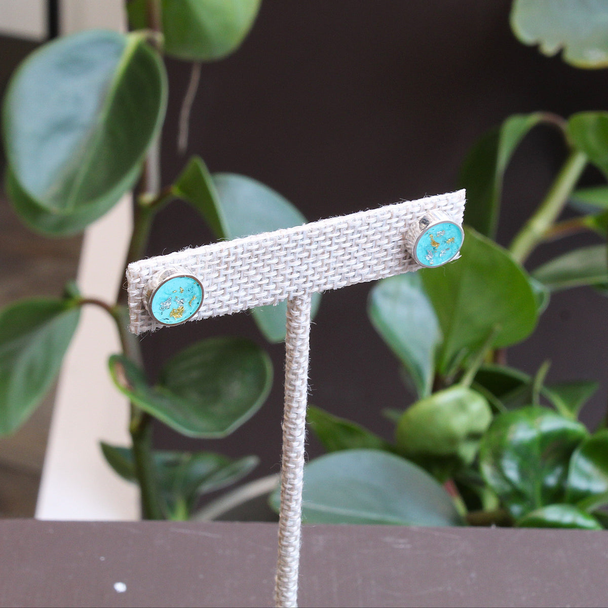A pair of silver-toned stud earrings with round turquoise-blue inlay details, displayed on a textured silver T-stand in front of a green houseplant.