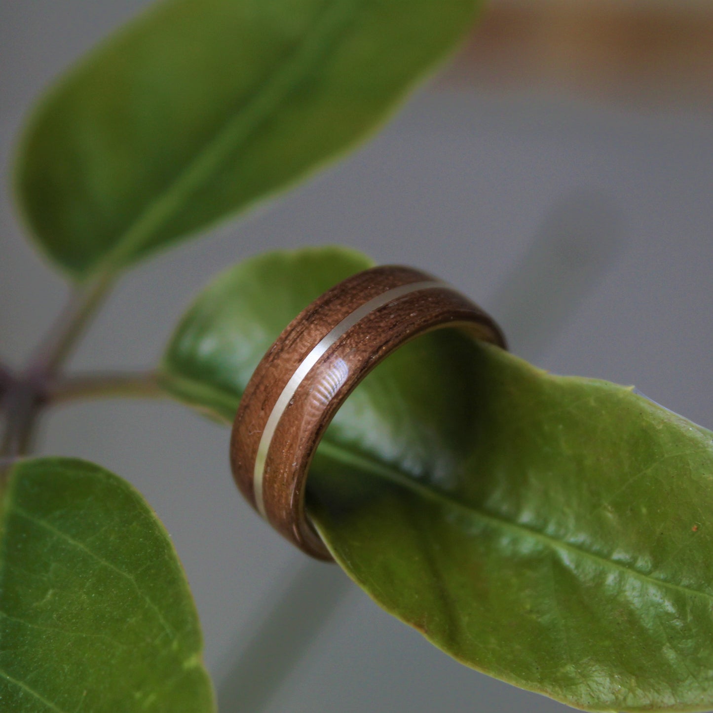 Walnut ring with center inlay